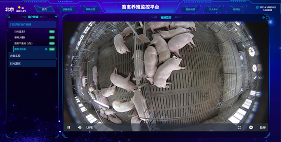 智慧禽畜養殖系統云平臺