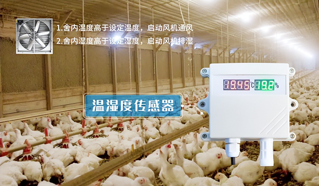 溫濕度傳感器在農業養殖業方向