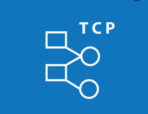 TCP 管理數據流