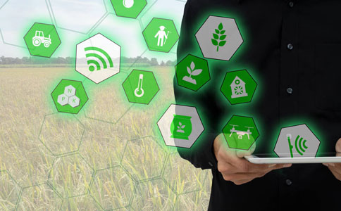 智慧農(nóng)業(yè)是什么，以及它如何改變農(nóng)業(yè)