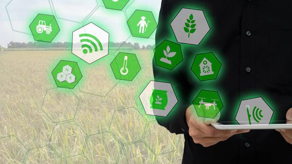 機器學習如何使農業更具可持續性