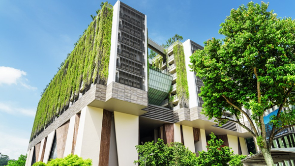 機器學習如何使農業更具可持續性