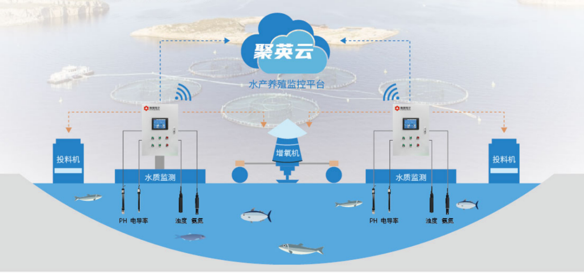 實時監控 實時監控