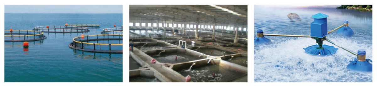 營業范圍 營業范圍