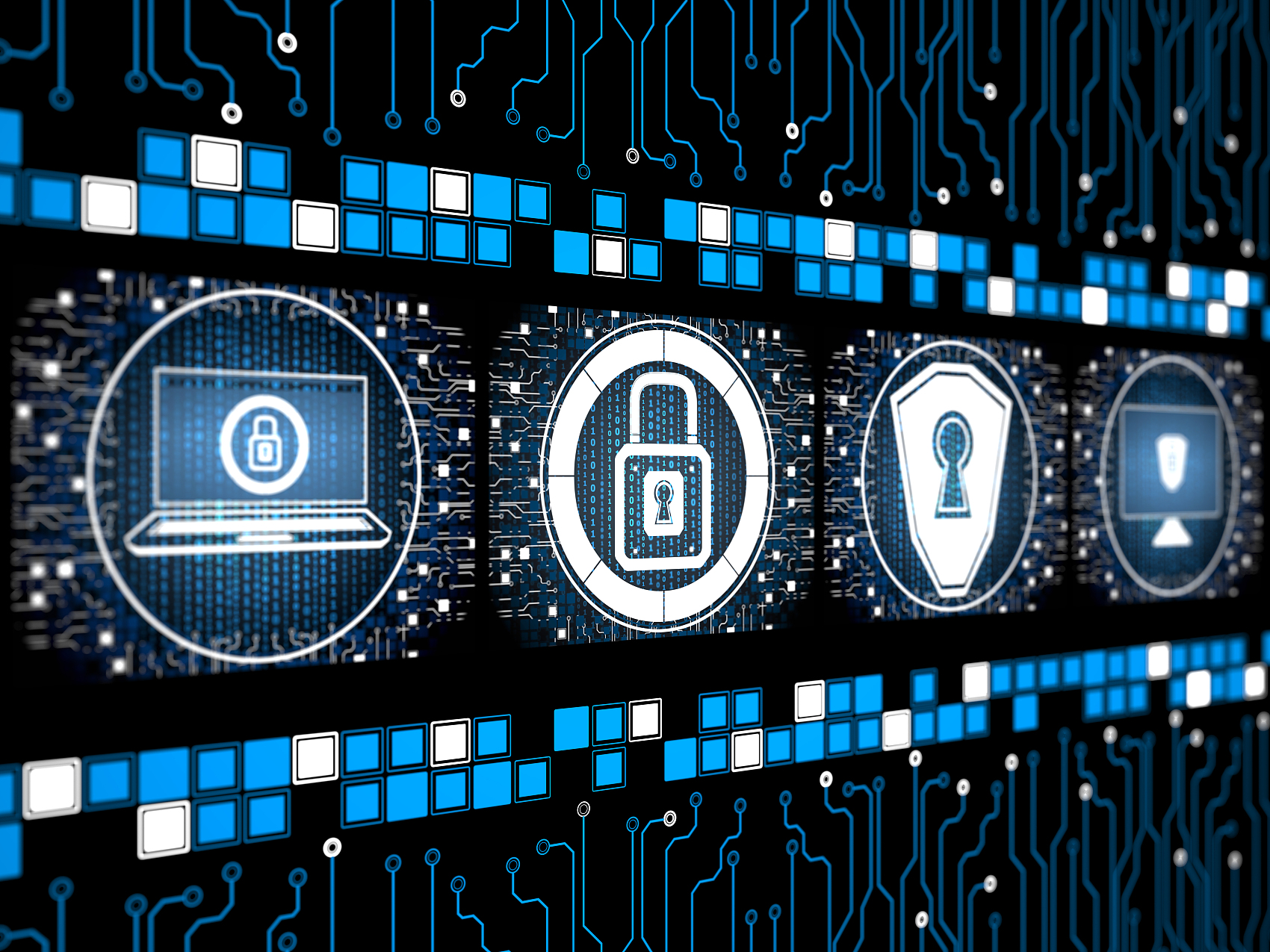 七項基本網絡安全技能和策略