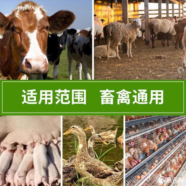 應(yīng)用場(chǎng)景