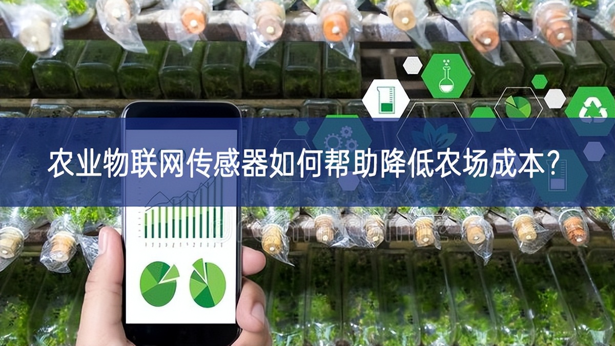 農業物聯網傳感器如何幫助降低農場成本？