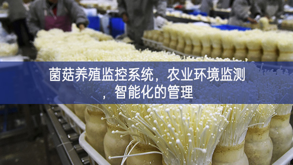 菌菇養殖監控系統,農業環境監測,智能化的管理