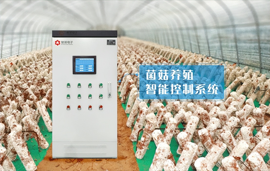菌菇養殖智能控制系統