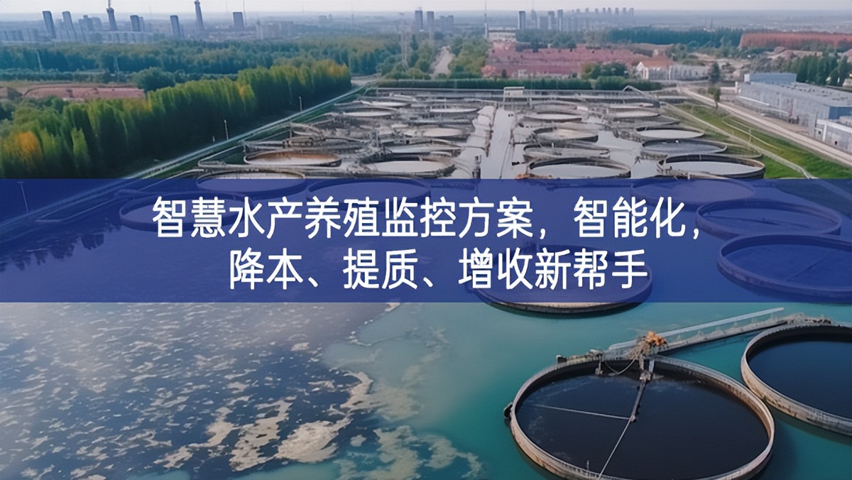 智慧水產(chǎn)養(yǎng)殖監(jiān)控方案，智能化，降本、提質(zhì)、增收新幫手