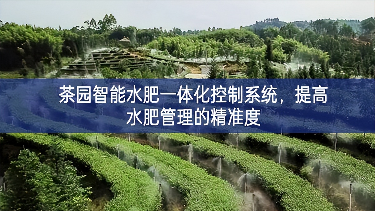 茶園智能水肥一體化控制系統，提高水肥管理的精準度