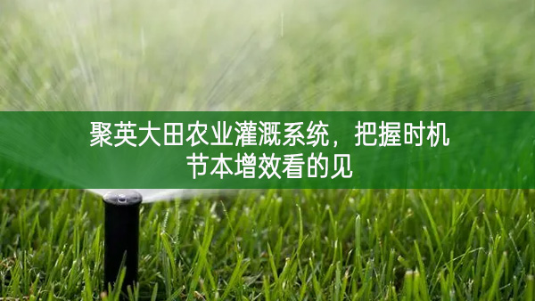 聚英大田農業灌溉系統，把握時機節本增效看的見