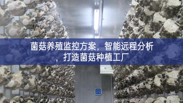 菌菇養(yǎng)殖監(jiān)控方案，智能遠(yuǎn)程分析，打造菌菇種植工廠