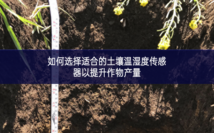 如何選擇適合的土壤溫濕度傳感器以提升作物產量