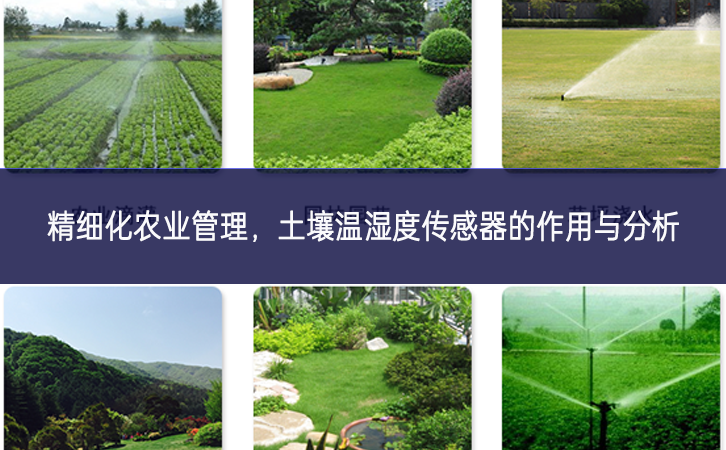 精細(xì)化農(nóng)業(yè)管理，土壤溫濕度傳感器的作用與分析