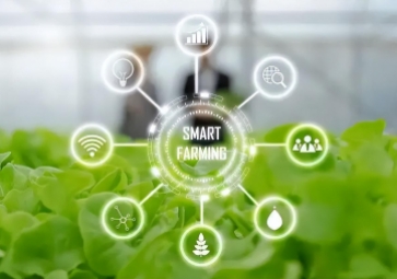 智慧農業物聯網的未來在哪里？