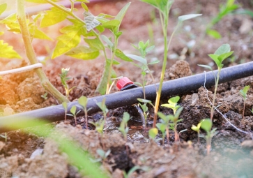 節水灌溉系統解決方案，用農業物聯網技術，科學灌溉