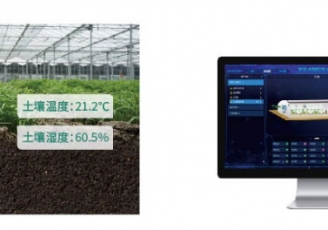 土壤溫濕度對農(nóng)業(yè)有哪些影響?