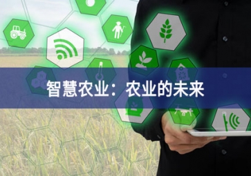 智慧農業：農業的未來
