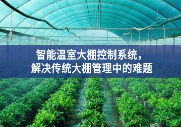 「智慧農業」智能溫室大棚控制系統，解決傳統大棚管理中的難題