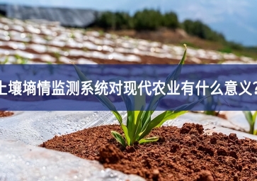 土壤墑情監測系統對現代農業有什么意義？