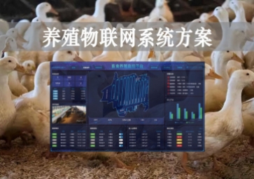 「智慧養殖」數字經濟時代到來，養殖物聯網系統方案來了