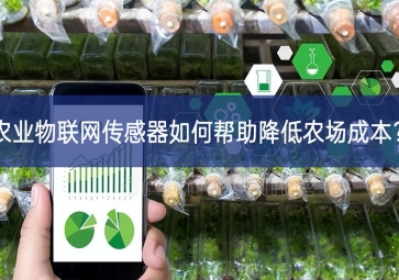 農業物聯網傳感器如何幫助降低農場成本？