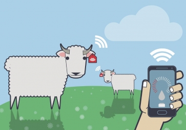 物聯網如何保證食品安全？