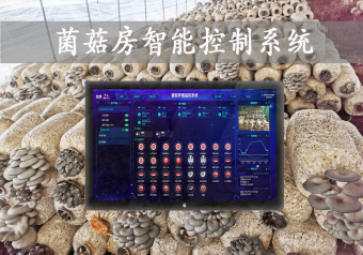 「智慧養殖」菌菇房智能控制系統，智能控溫，助力大棚食用菌種植