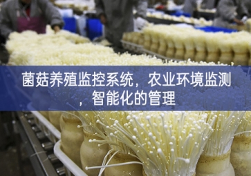 「智慧養殖」菌菇養殖監控系統,農業環境監測,智能化的管理