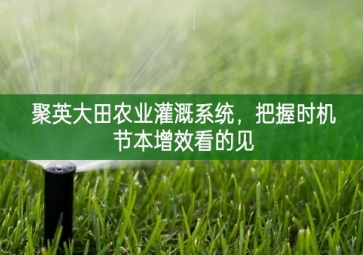 「智慧農業」聚英大田農業灌溉系統，把握時機節本增效看的見