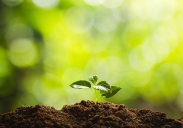 光照度傳感器，如何成了智慧農業的新寵兒