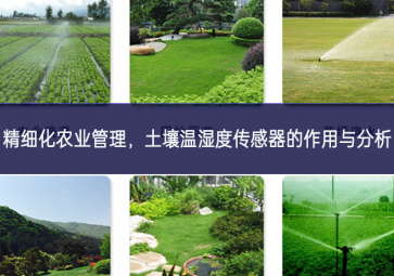 精細化農業管理，土壤溫濕度傳感器的作用與分析
